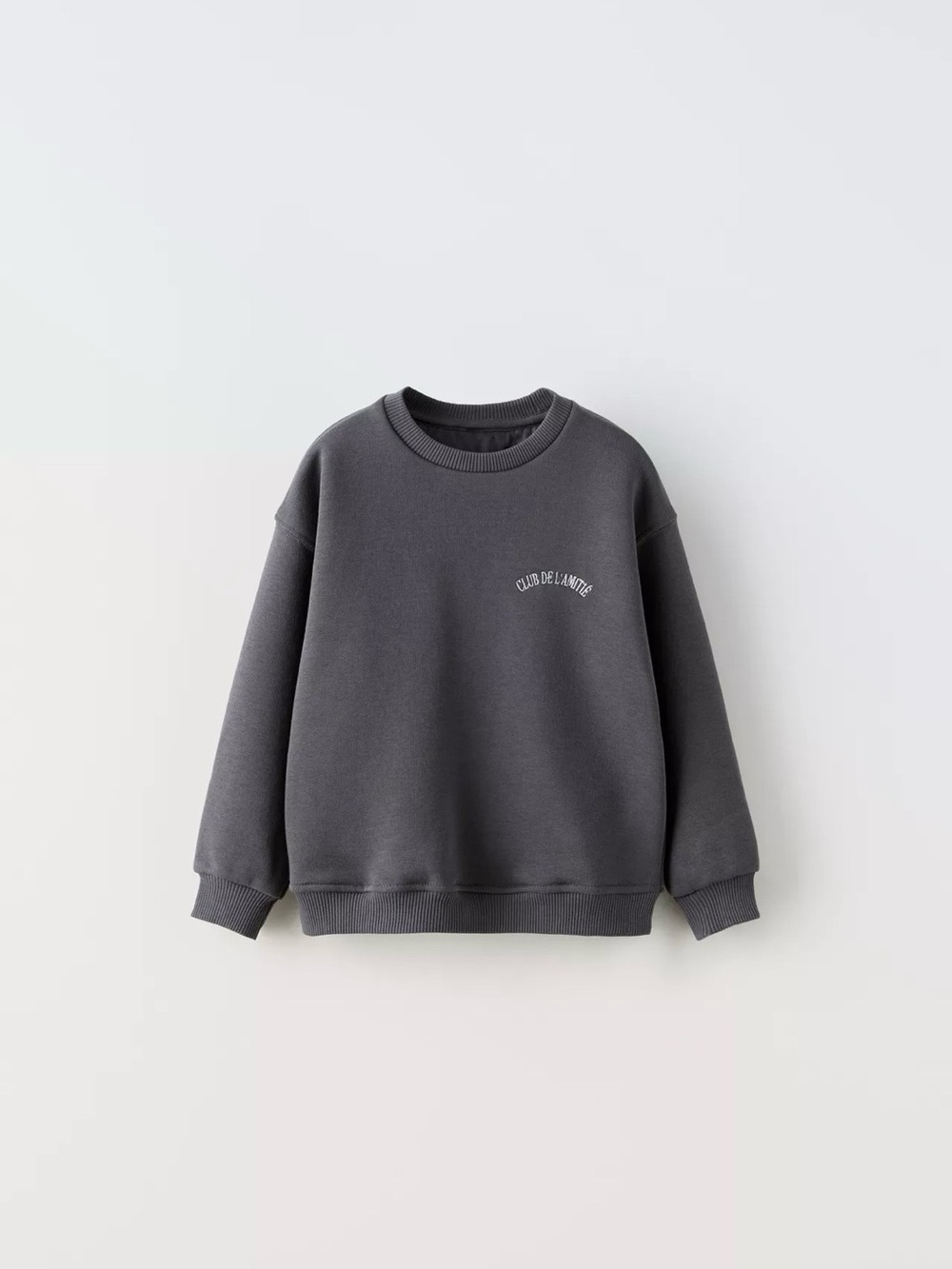 NWT Zara sweatshirt